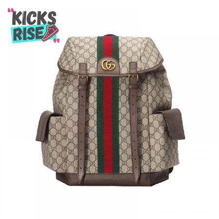 Gucci Ophidia Gg Backpack - GBP107