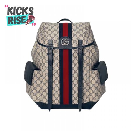 Gucci Ophidia Gg Backpack - GBP109