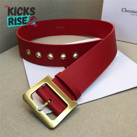 Dior belt