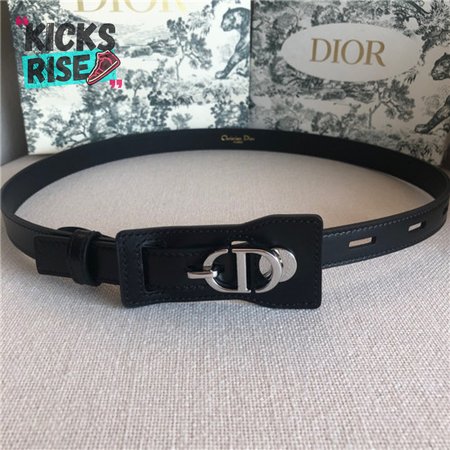 dior cd buckle belt