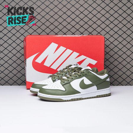 Nike Dunk Low Medium Olive DD1503-120 Size 36-46